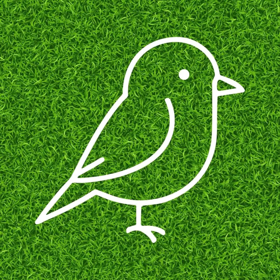 Homeschool Family Science Club: Bird Beaks & Beyond — official source image