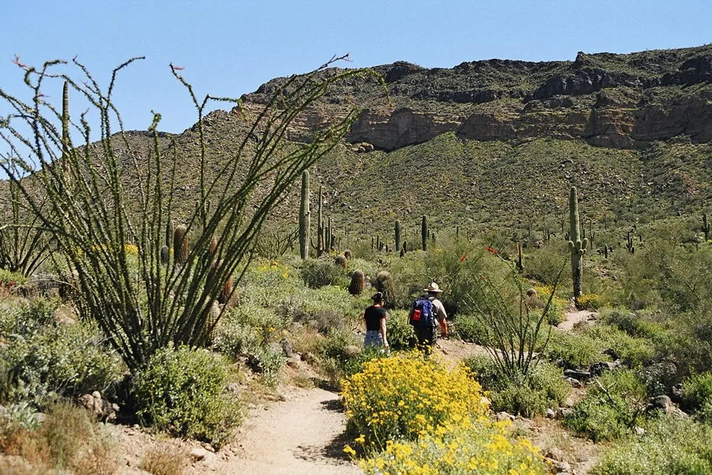 Introduction to Archery — Usery Mountain Regional Park — venue image