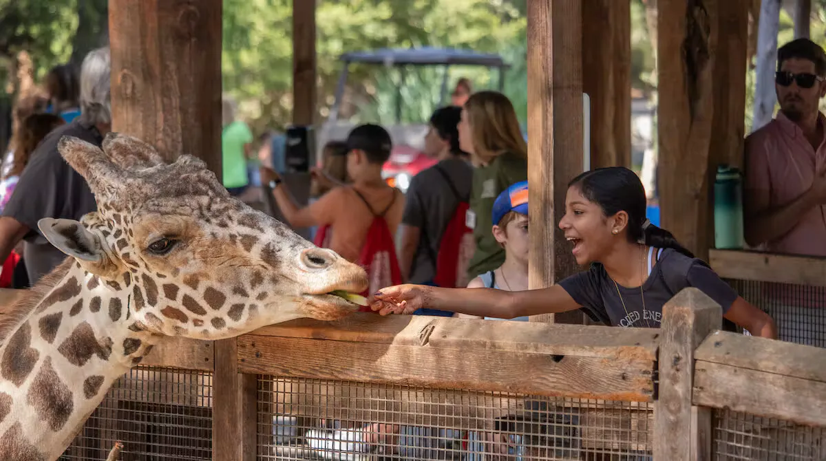 Dallas Zoo Wild Adventures School-Break Camps — program image