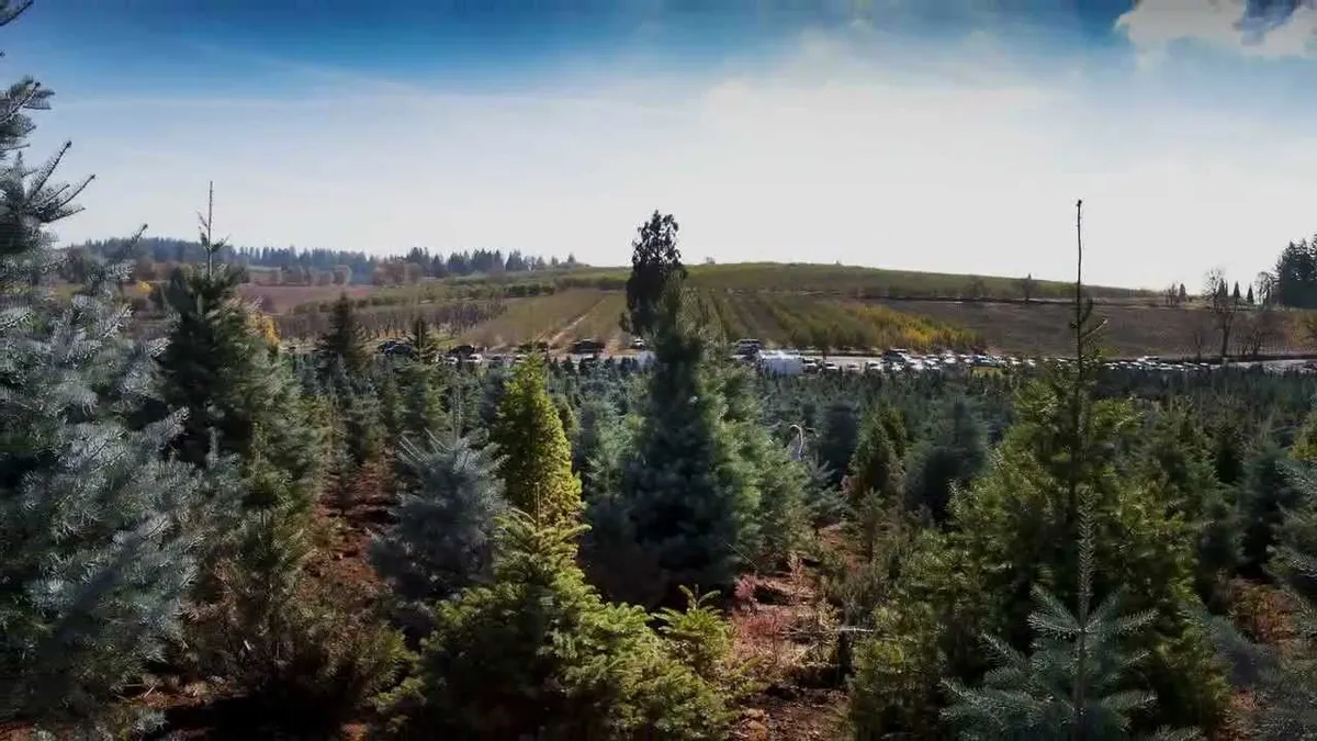 Hillside Tree Farm — official source image