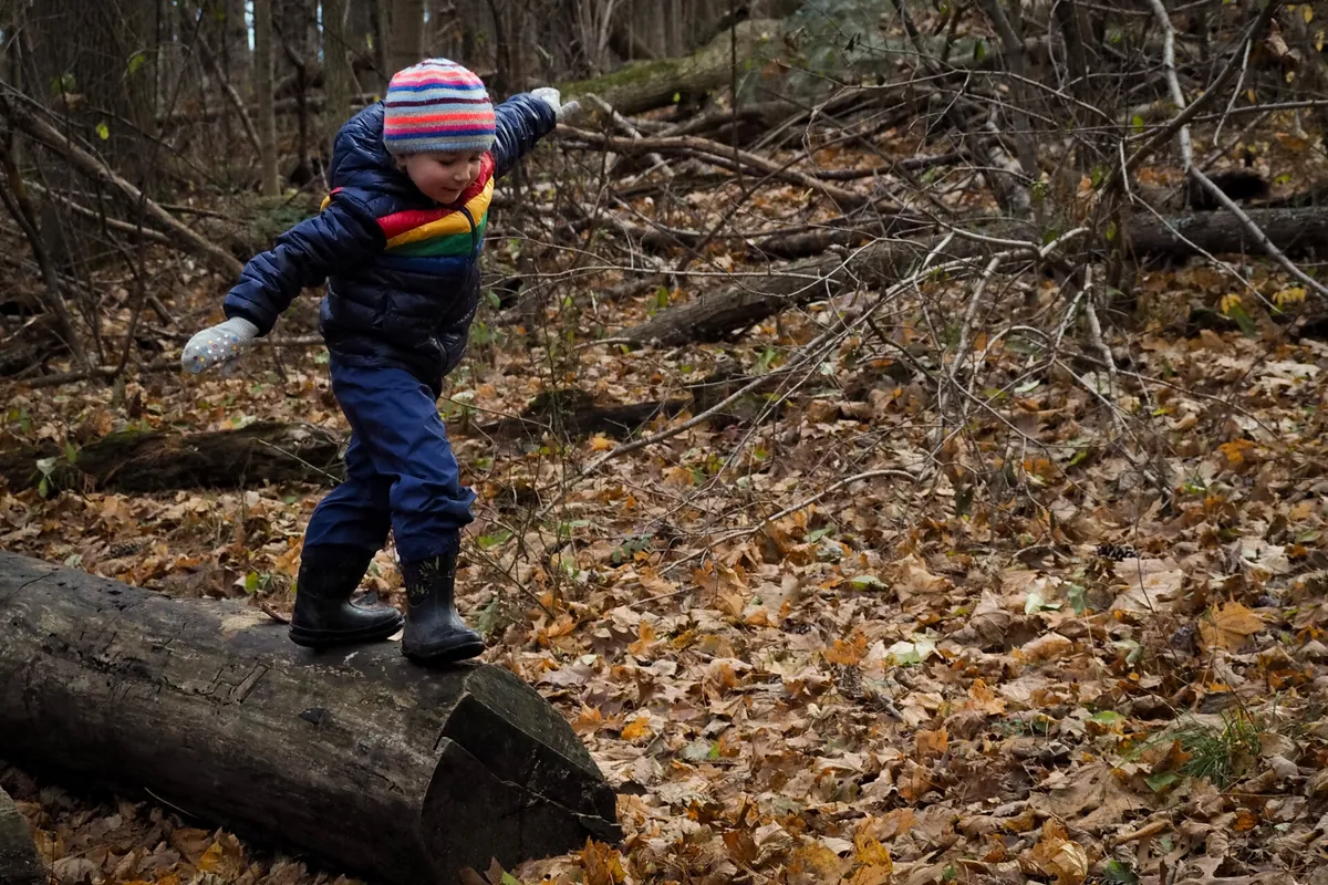 Discover Life Under the Log at Habitat — official source image