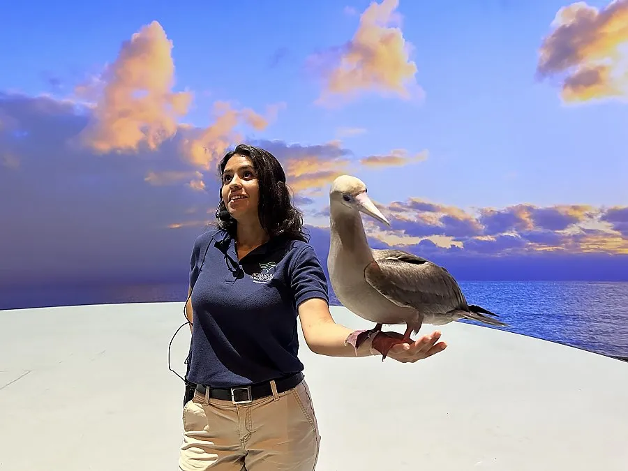 Scout Day at Aquarium of the Pacific — official source image