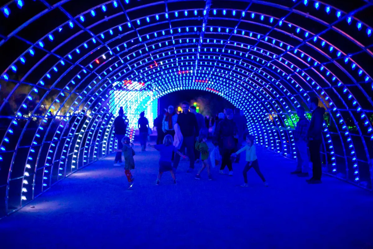 WildLights 2026 at The Living Desert — official source image
