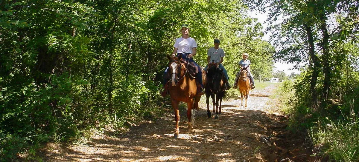 Let's Talk Turkey at Ray Roberts Lake State Park — venue image
