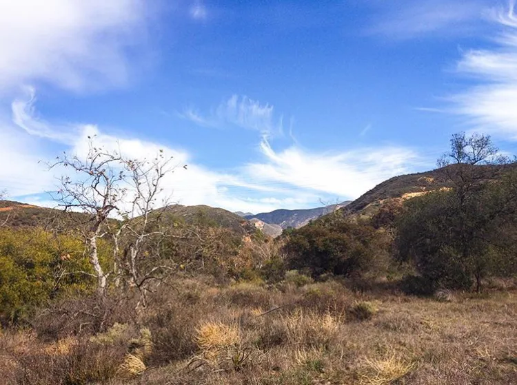 Family Hike: Baker Canyon (Halloween afternoon) — official source image