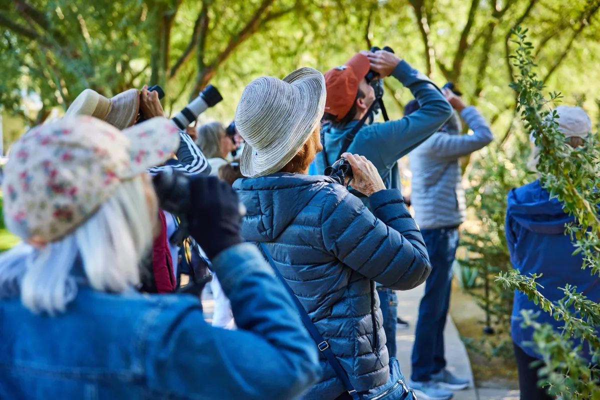 Free Guided Bird Walks at Sunnylands (Thursdays, Nov–May) — program image