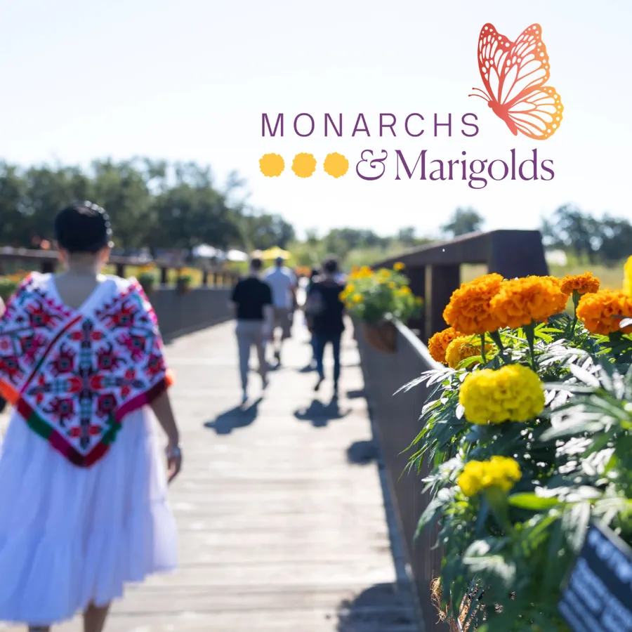 Monarchs & Marigolds 2026 — official source image