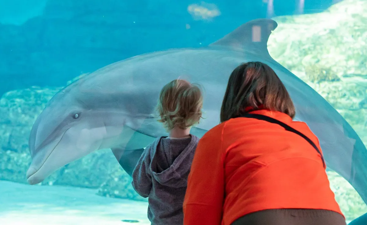 Clearwater Marine Aquarium — official source image