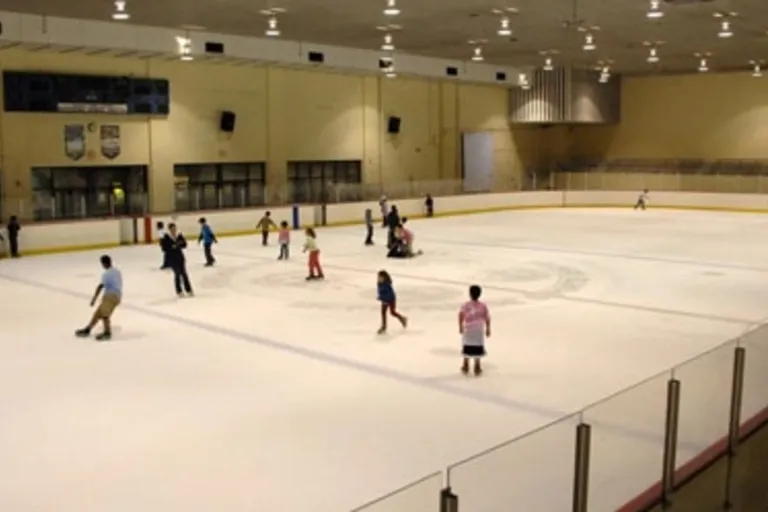 'Tis the Season to Skate & Sparkle Ice Skating Exhibition at McFetridge — venue image