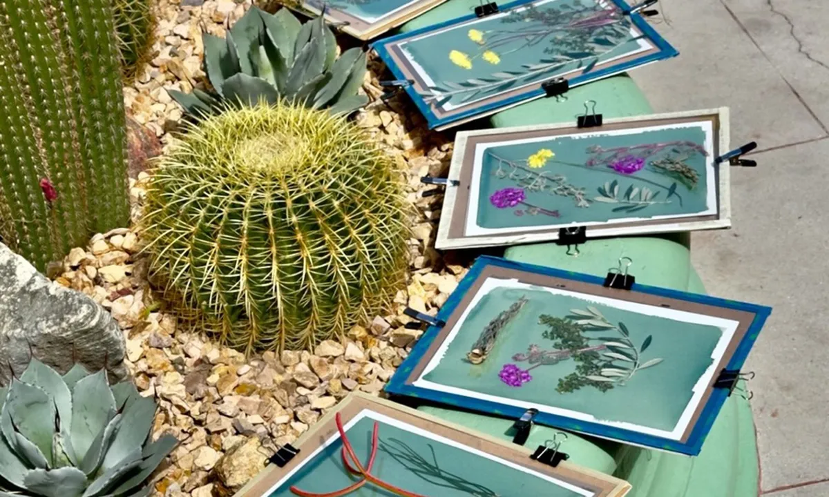 Sun Printing (Cyanotype) Family Workshop at Sunnylands — official source image