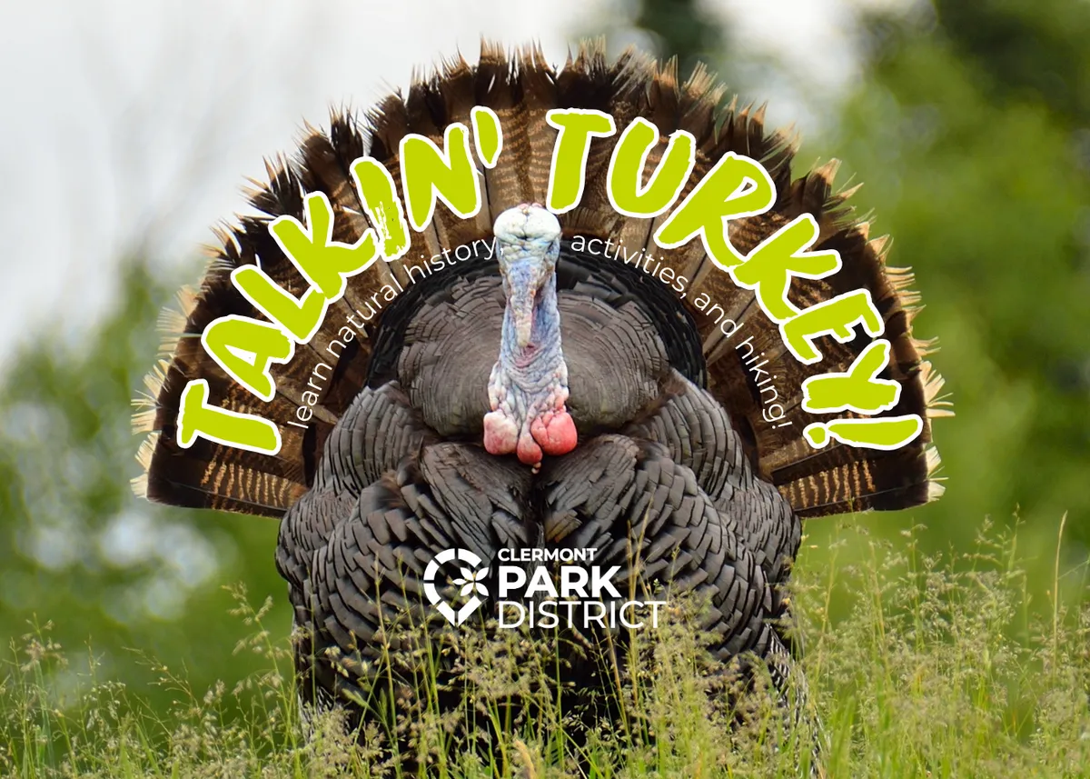 Talkin' Turkey — official source image