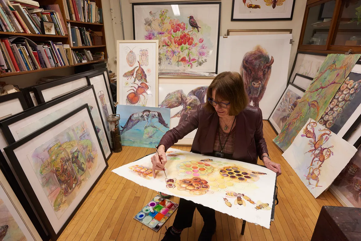 Observational Drawing Using Unusual Specimens — official source image