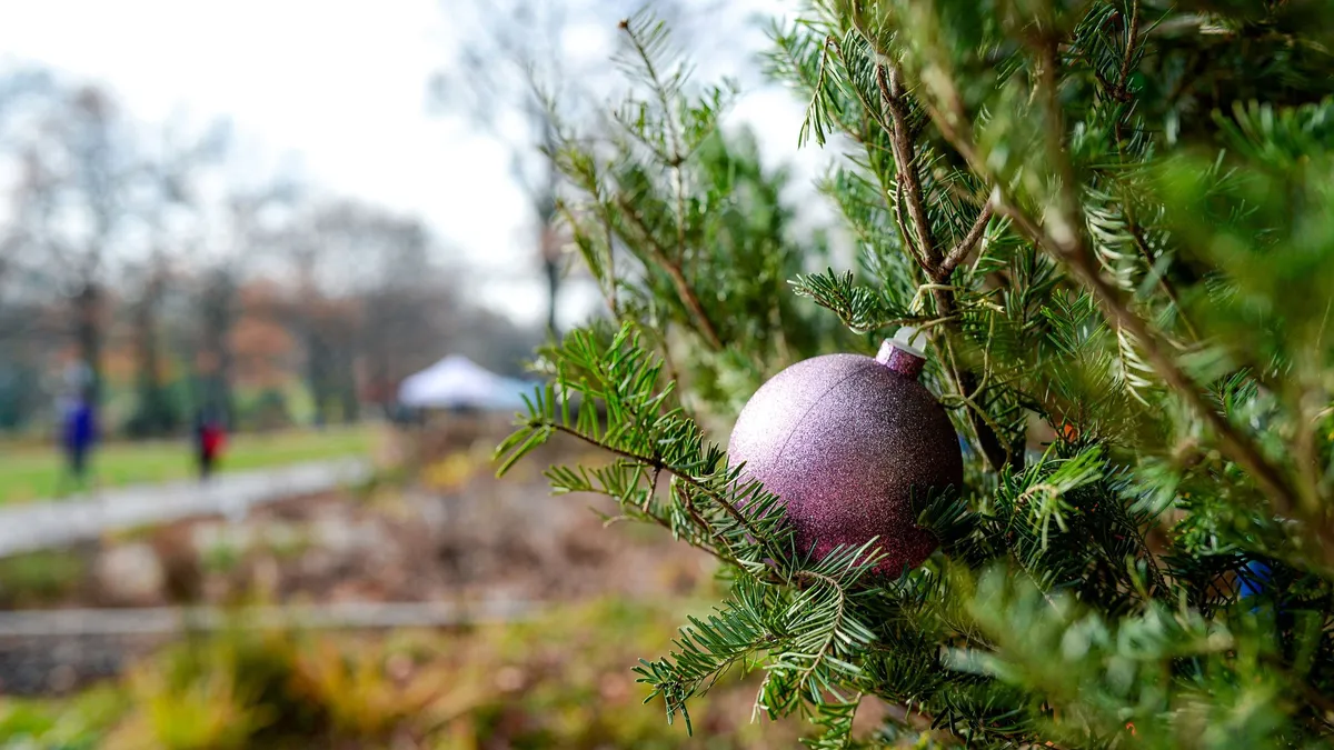 Queens Botanical Garden Winter Wonder — official source image