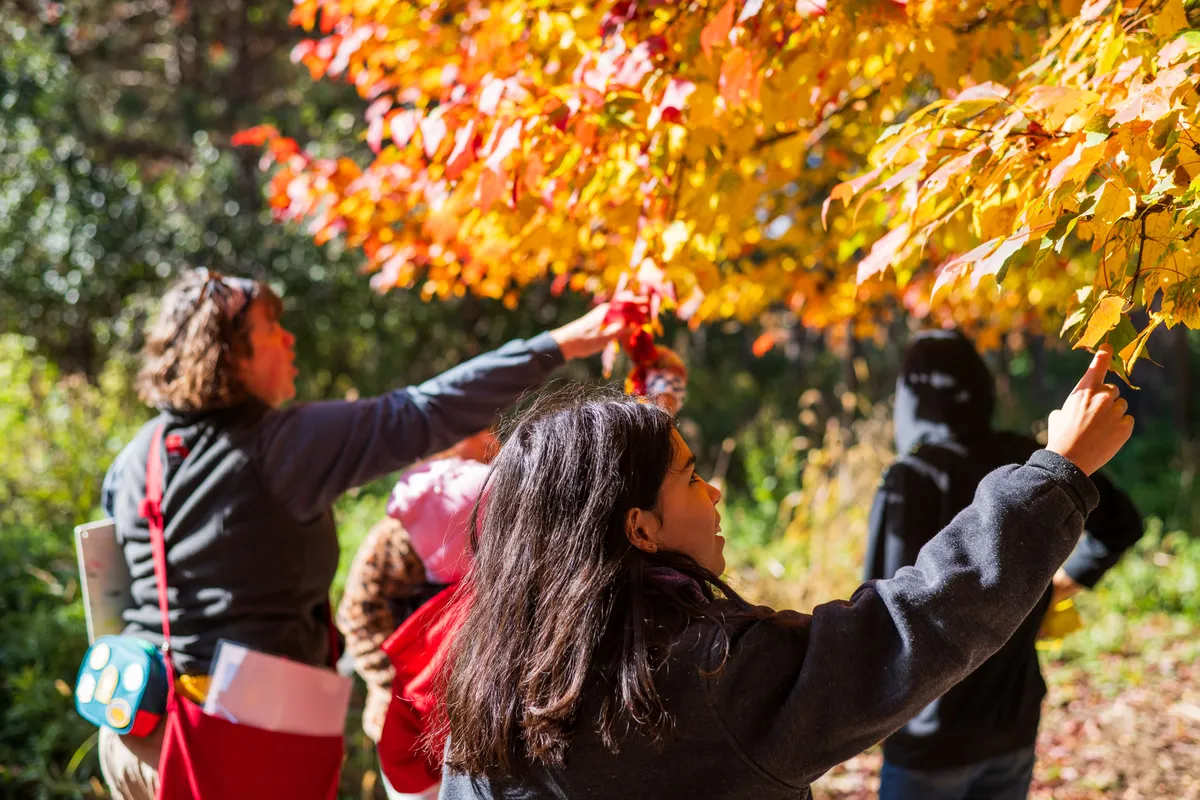 Tamarack Trick or Treat — official source image