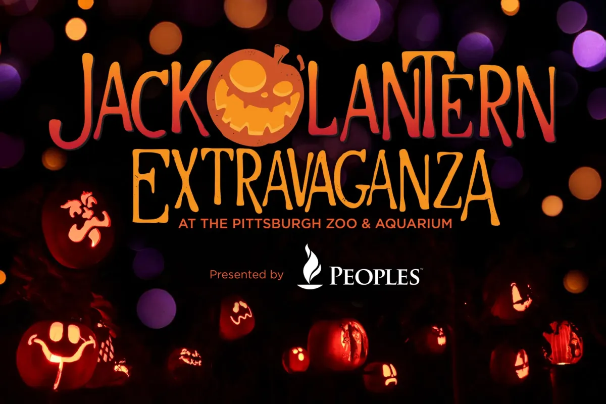 Jack O'Lantern Extravaganza at Pittsburgh Zoo — official source image