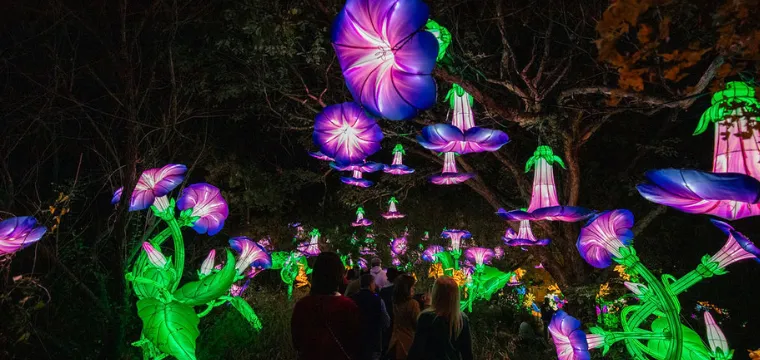 Sensory-Friendly Night at Illuminate — official source image