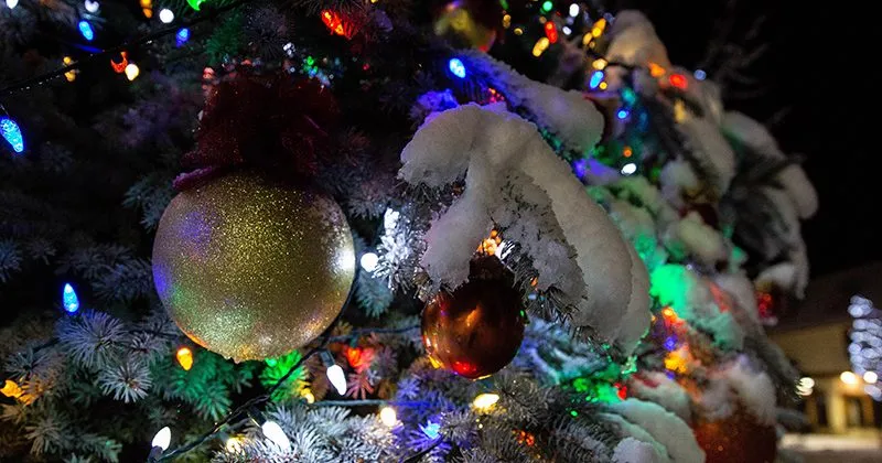 The Village Tree Lighting Ceremony (Big Bear Lake) — official source image