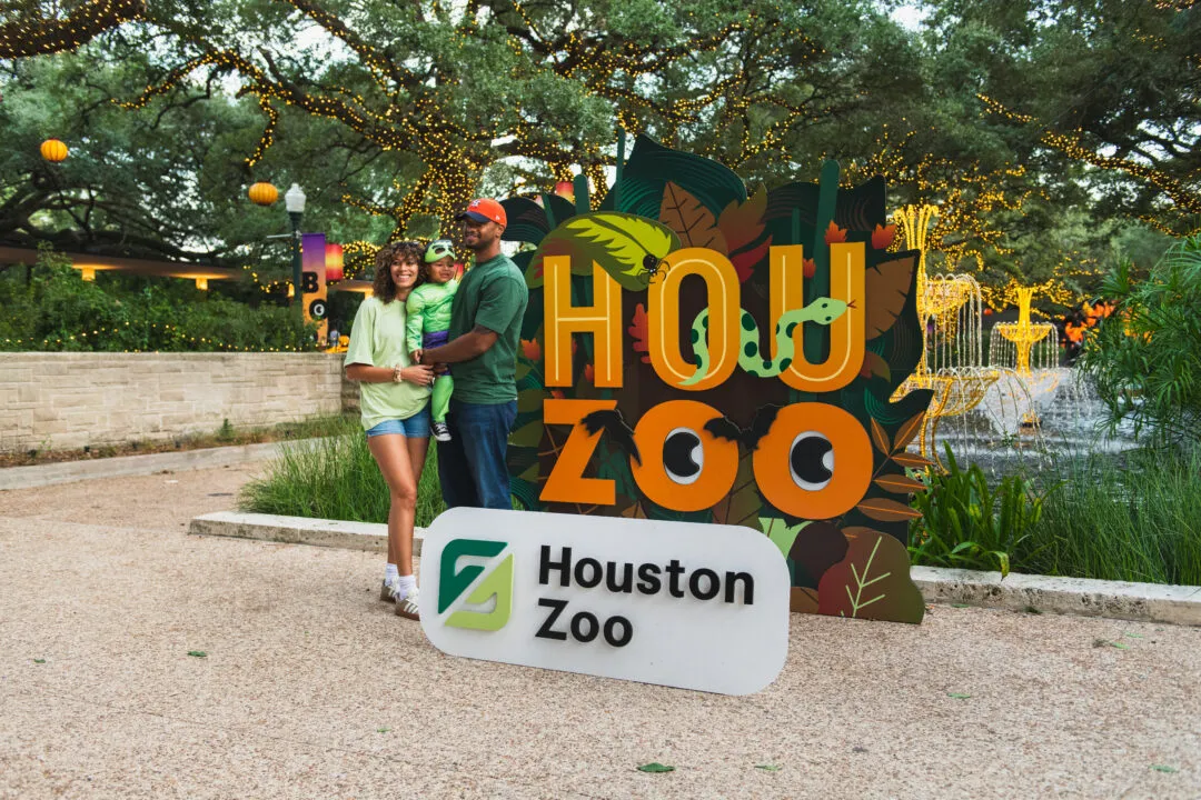 Fairytale & Movie Night at the Houston Zoo — official source image