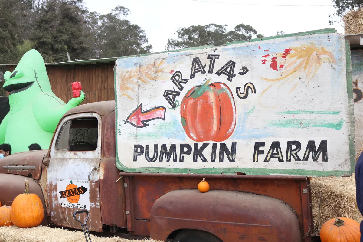 Arata's Pumpkin Farm — official source image