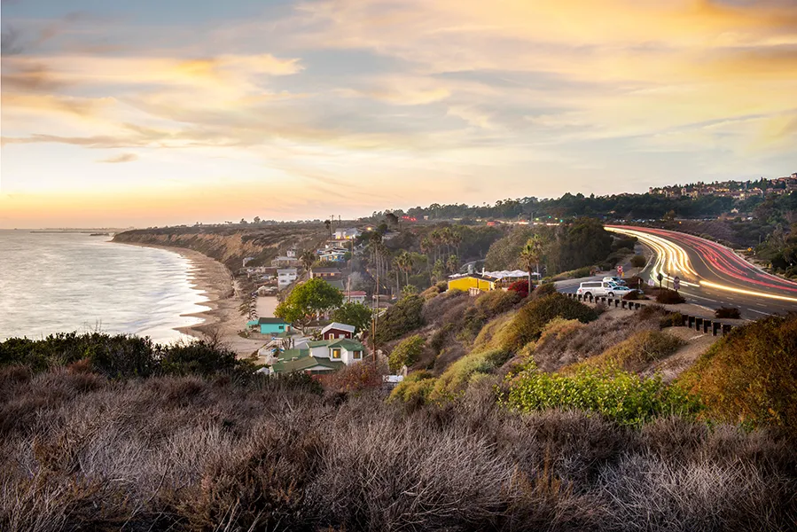 Explore the Cove – Coastal Ecology Hike — venue image
