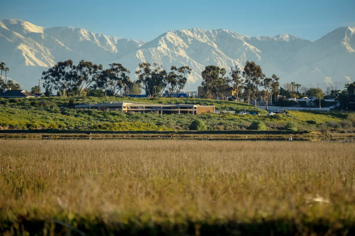 Nature Scavenger Hunt at Upper Newport Bay — official source image