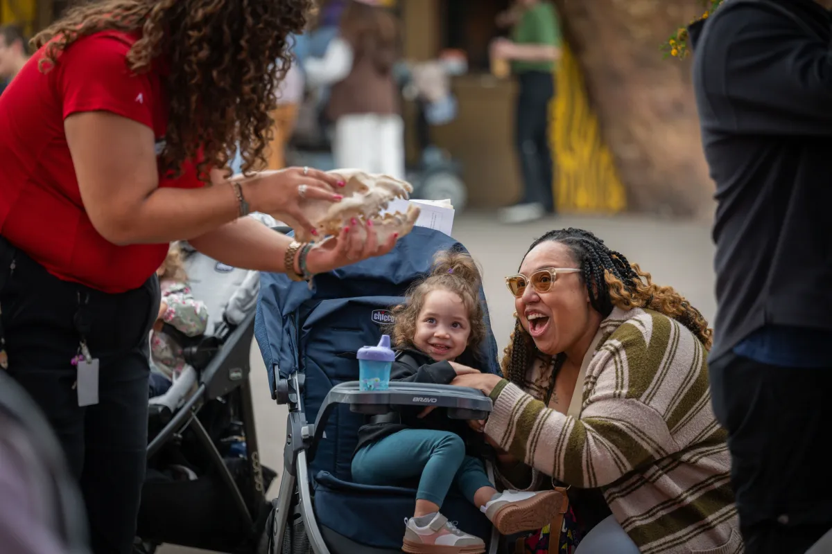 Stroller Safari: animals and songs — program image