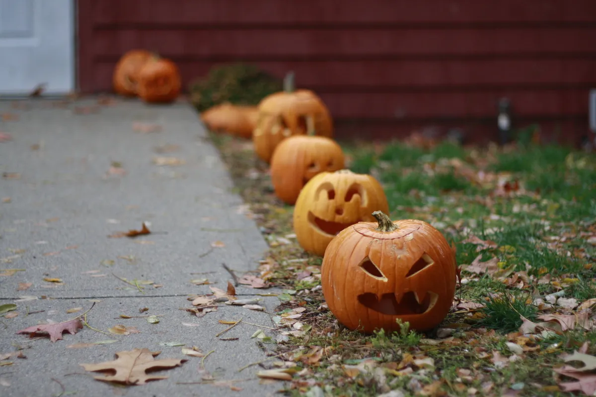 Moose Hill's Halloween Prowl — official source image