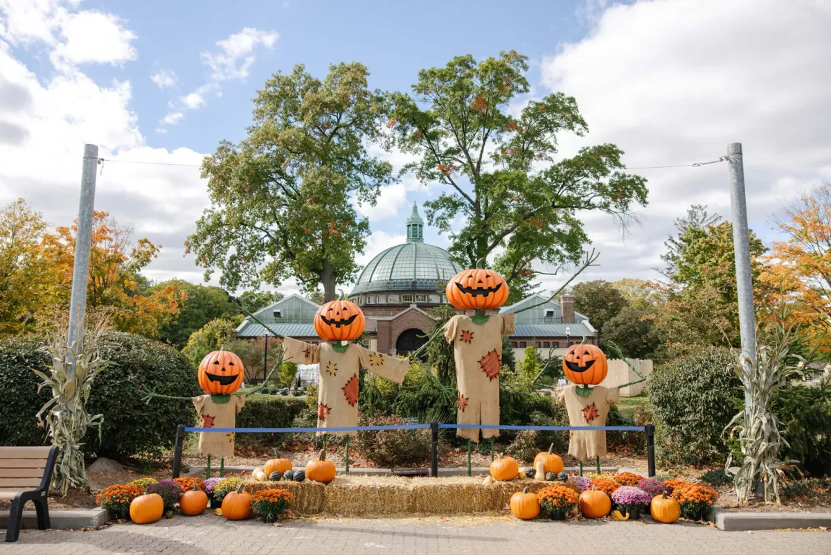 Zoo Boo at the Detroit Zoo — venue image