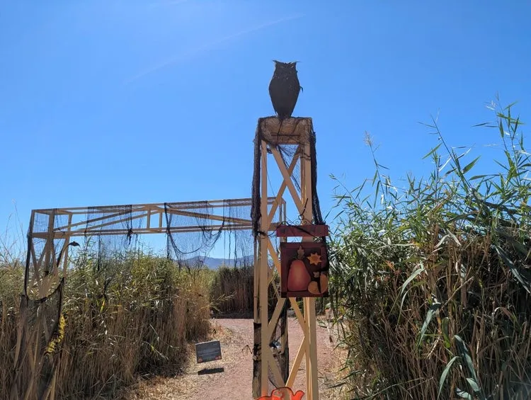 Family Nature Walk at Wetlands Park — venue image