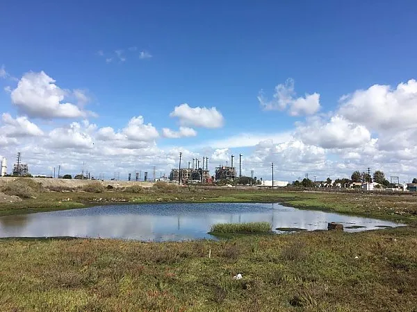 Los Cerritos Wetlands Habitat Restoration with the Aquarium of the Pacific — official source image
