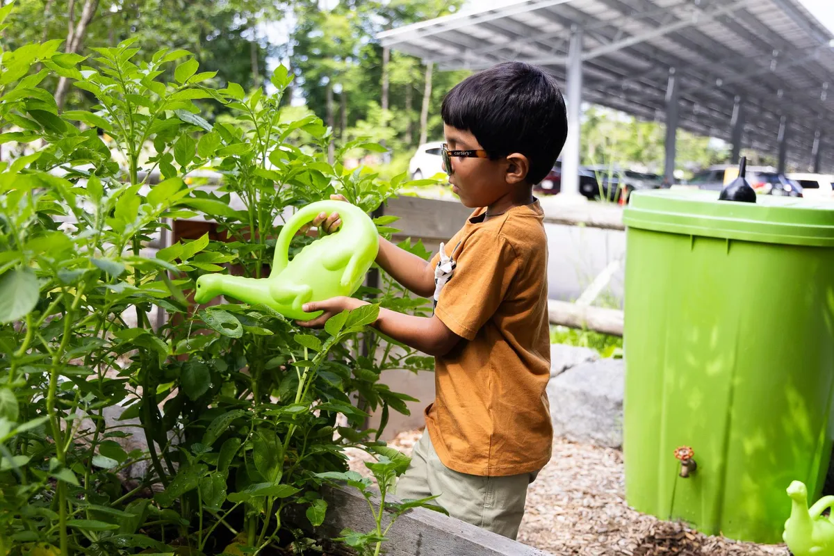 Backyard and Beyond: Working in the Garden — official source image