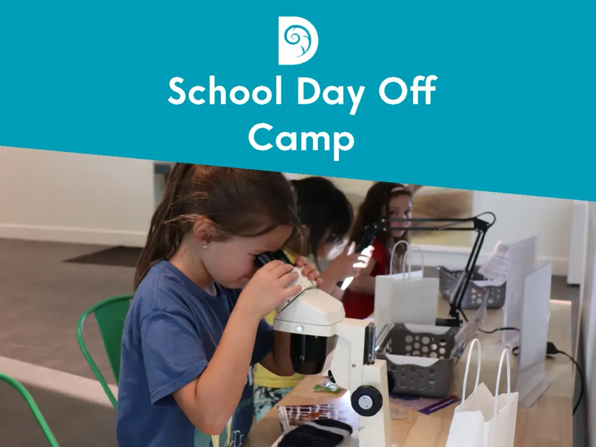 School Day Off Camps: Fall and December Sessions — official source image