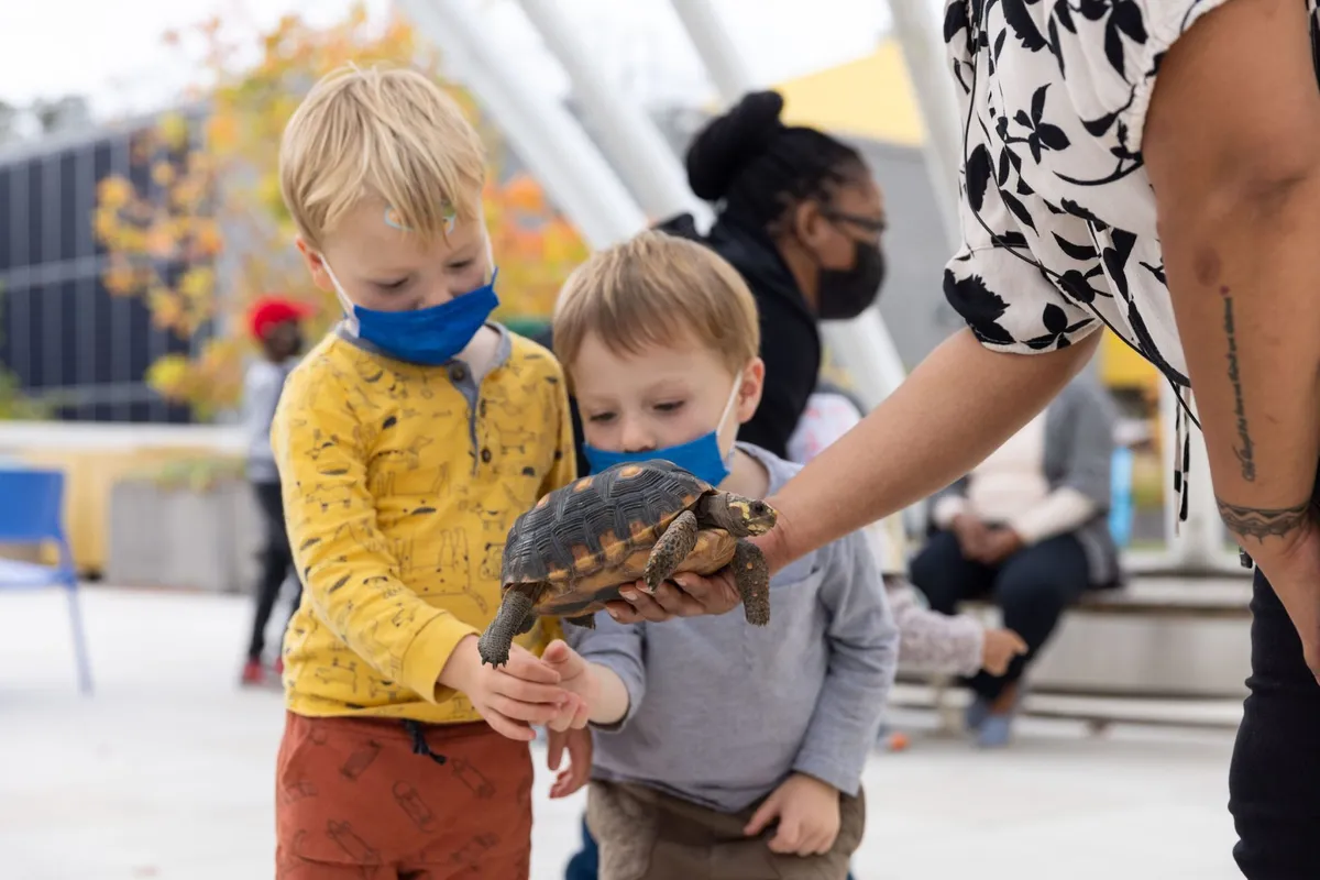 Animal Encounters at Brooklyn Children's Museum (Oct 22) — official source image