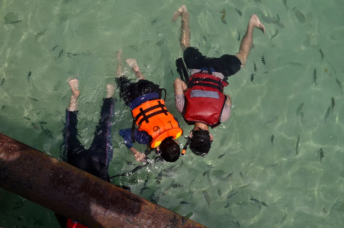 Intracoastal Adventures — Family Fun Snorkel — official source image