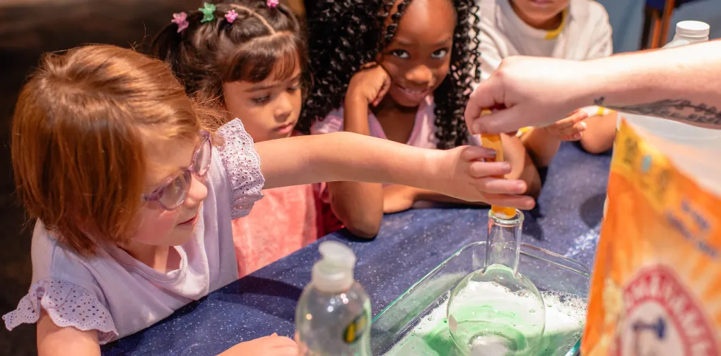 Sensory Friendly Playtime — fall 2026 — official source image