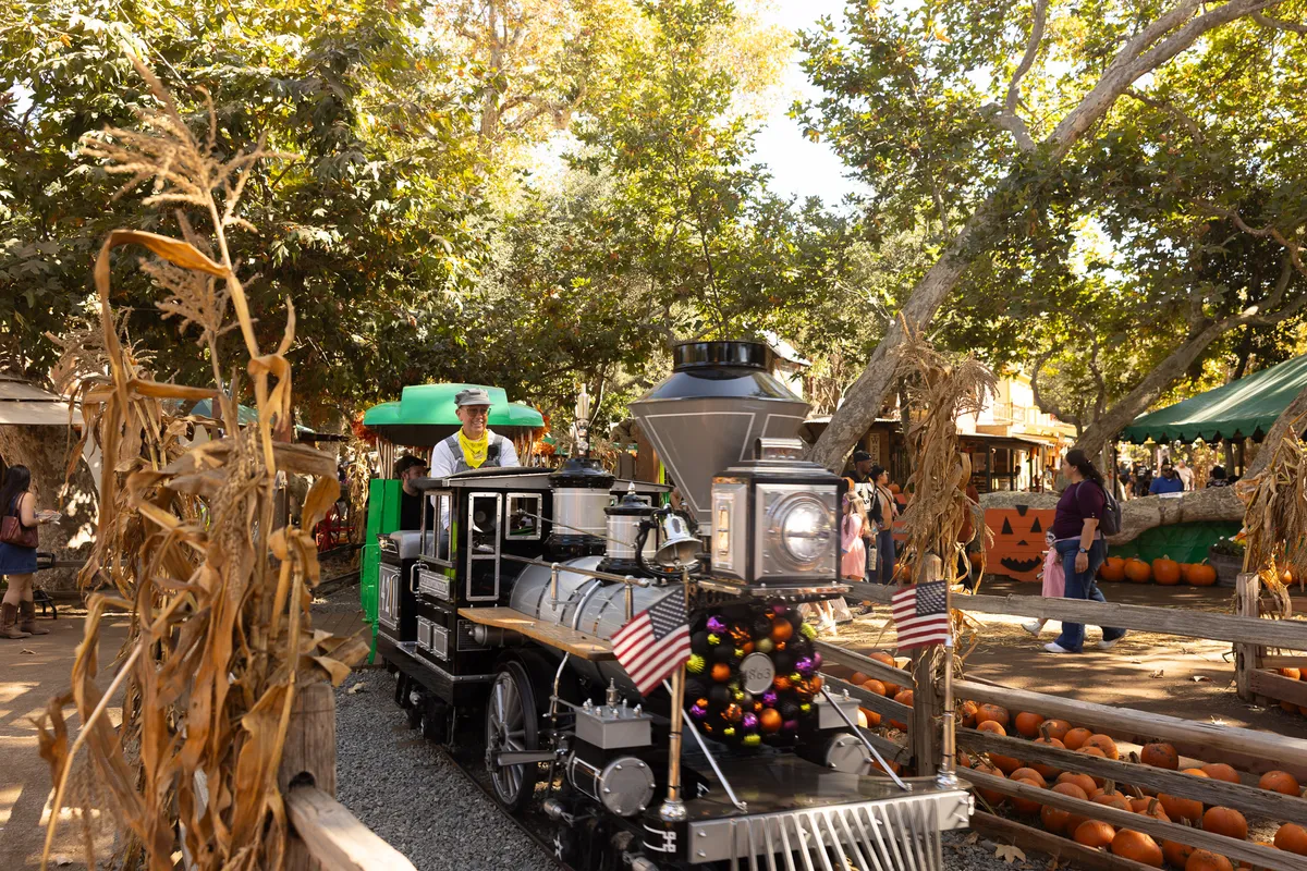 Irvine Park Railroad Pumpkin Patch — official source image