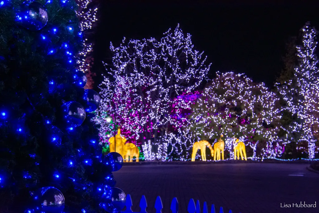 Sensory-Friendly Santa at the Cincinnati Zoo — official source image