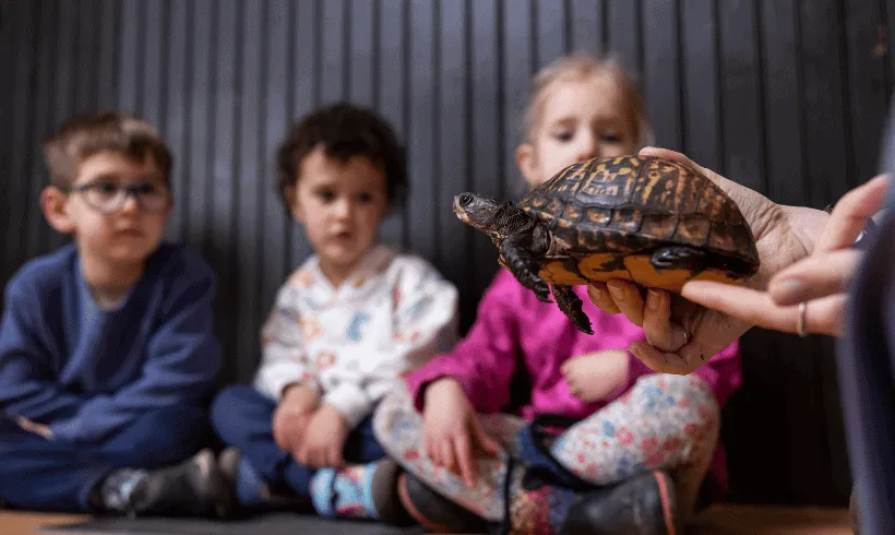 Hudson Valley Wildlife at the Ardsley Public Library (for families) — official source image