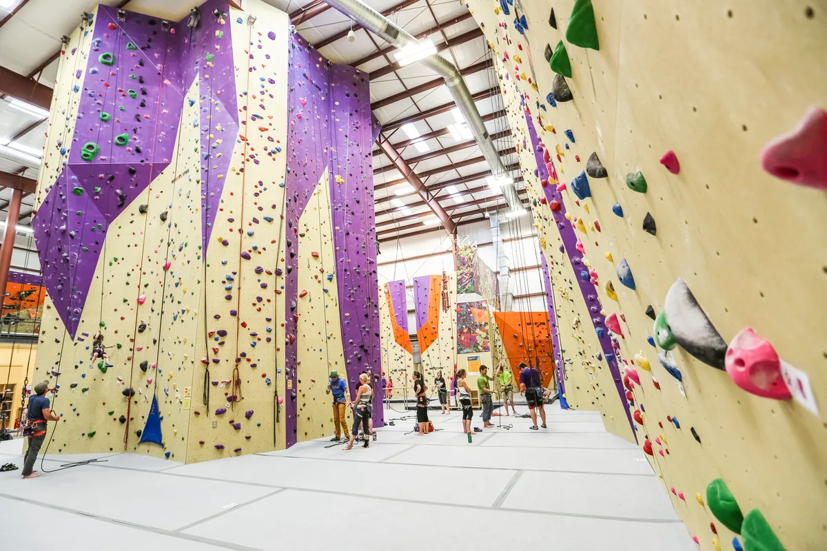 Vertical Adventures climbing gym — official source image