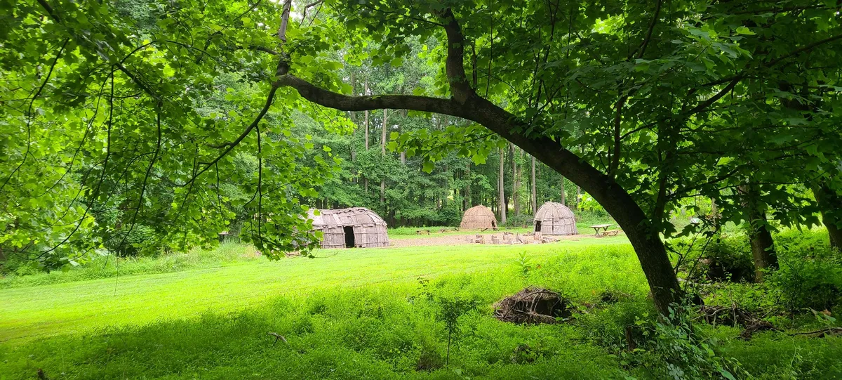 Nature by the Fire: Native Nations (Irvine) — official source image
