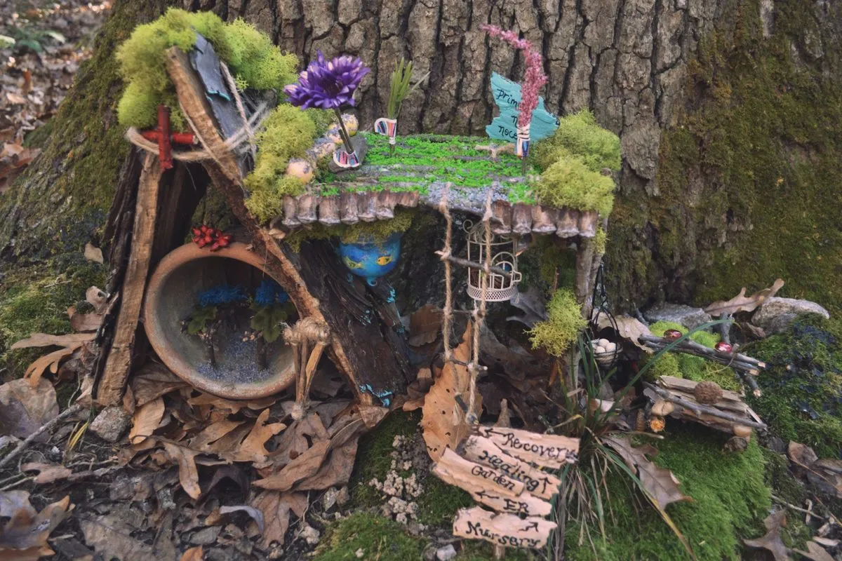 Enchanted Woodland Trail — winter 2026–27 — official source image