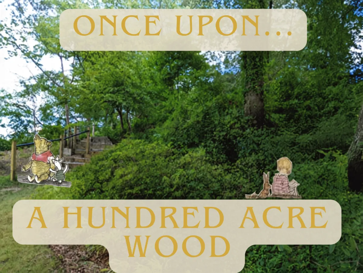 Once Upon...A Hundred Acre Wood (Winnie-the-Pooh at 100) — official source image