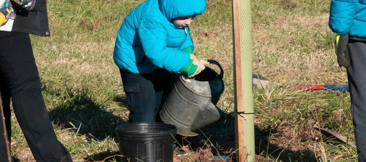 Middle Run Annual Tree Planting — official source image