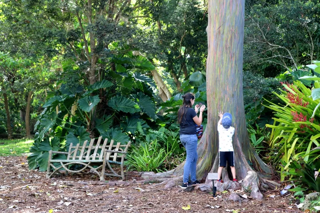 Expedition Discovery — Self-Guided Garden Missions — program image