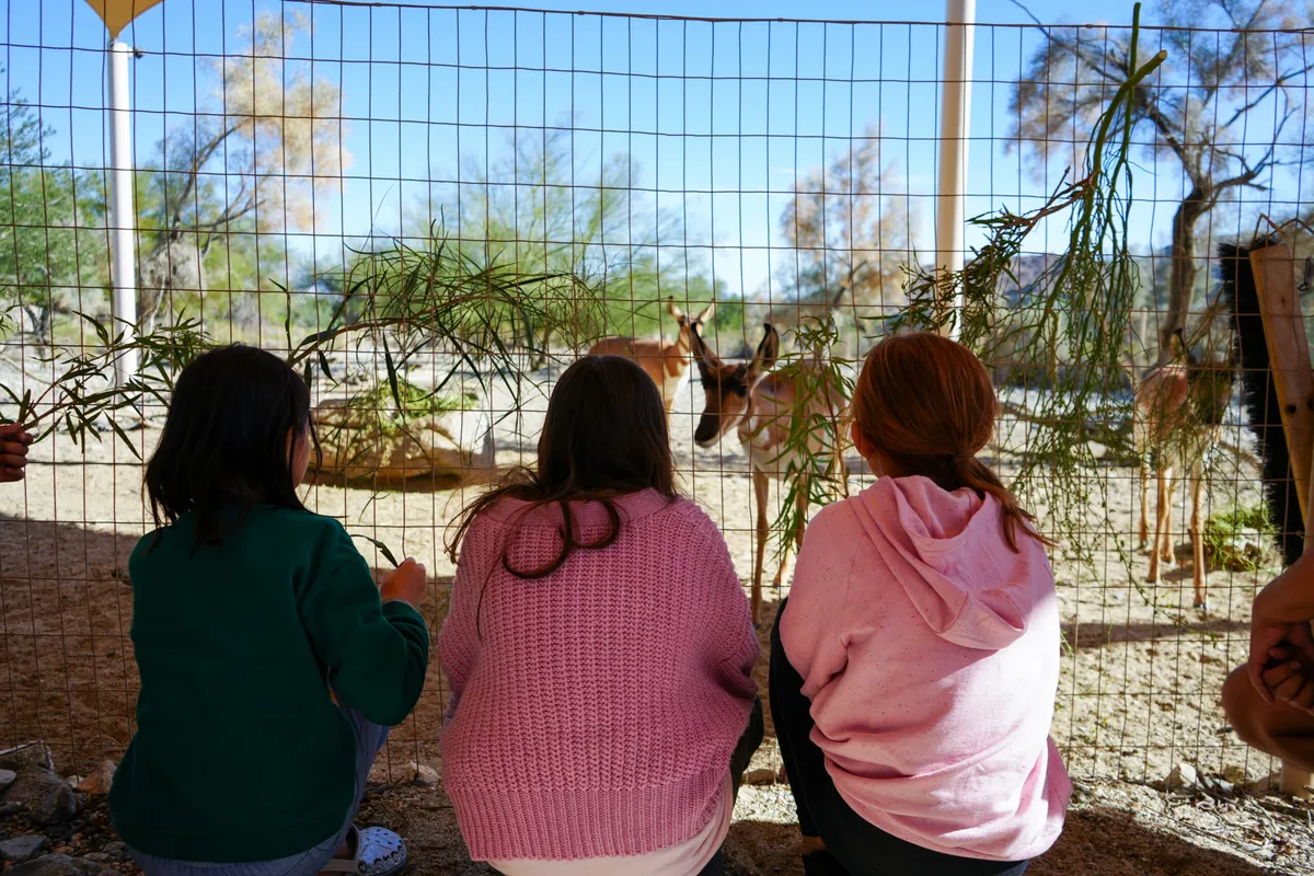 Fall ZooCamp at The Living Desert (Thanksgiving week) — official source image
