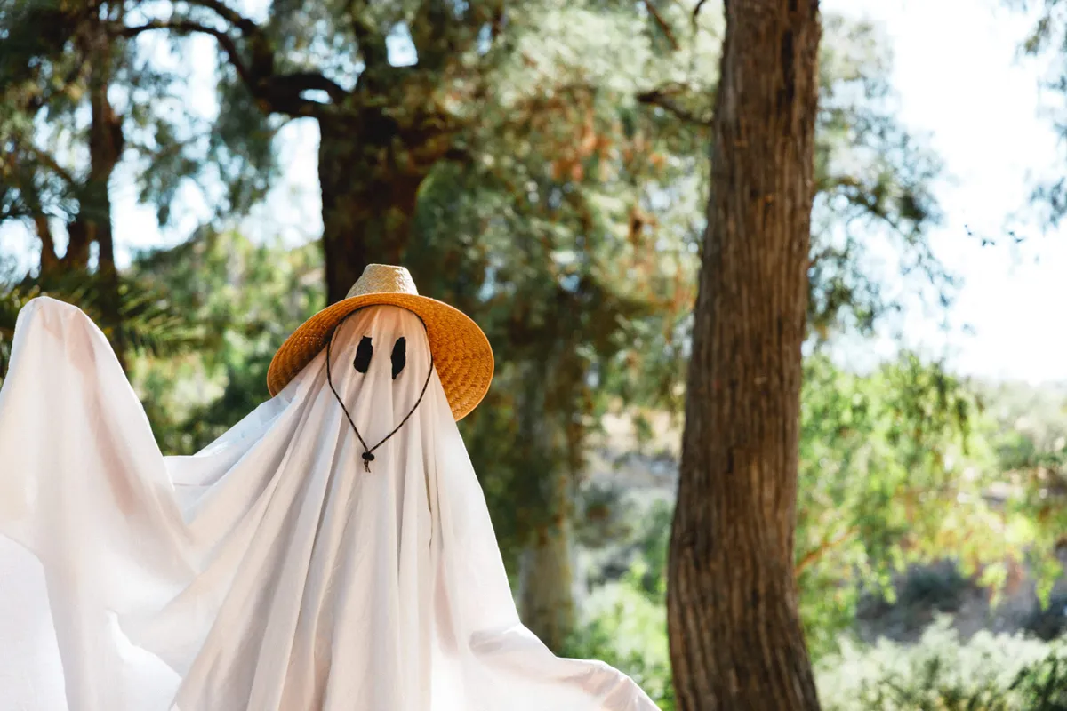 Boo-tanical Bash at Boyce Thompson Arboretum — official source image