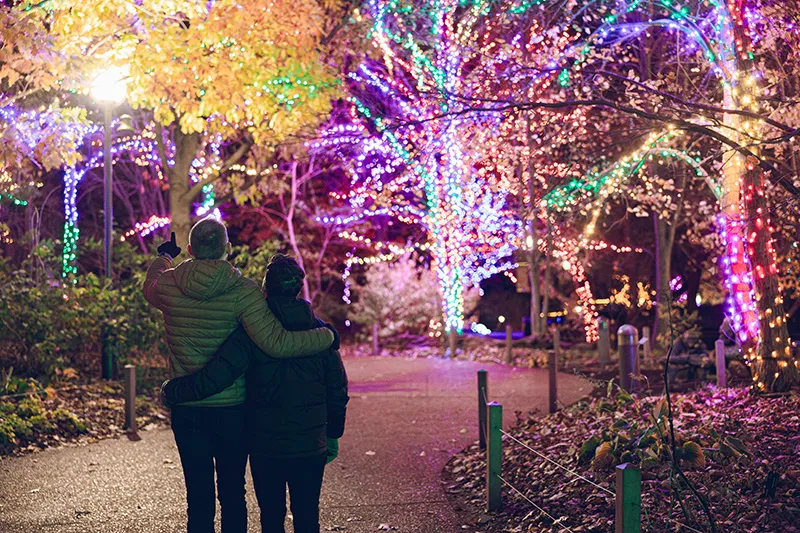 ZooLights at Lincoln Park Zoo 2026–2027 — official source image