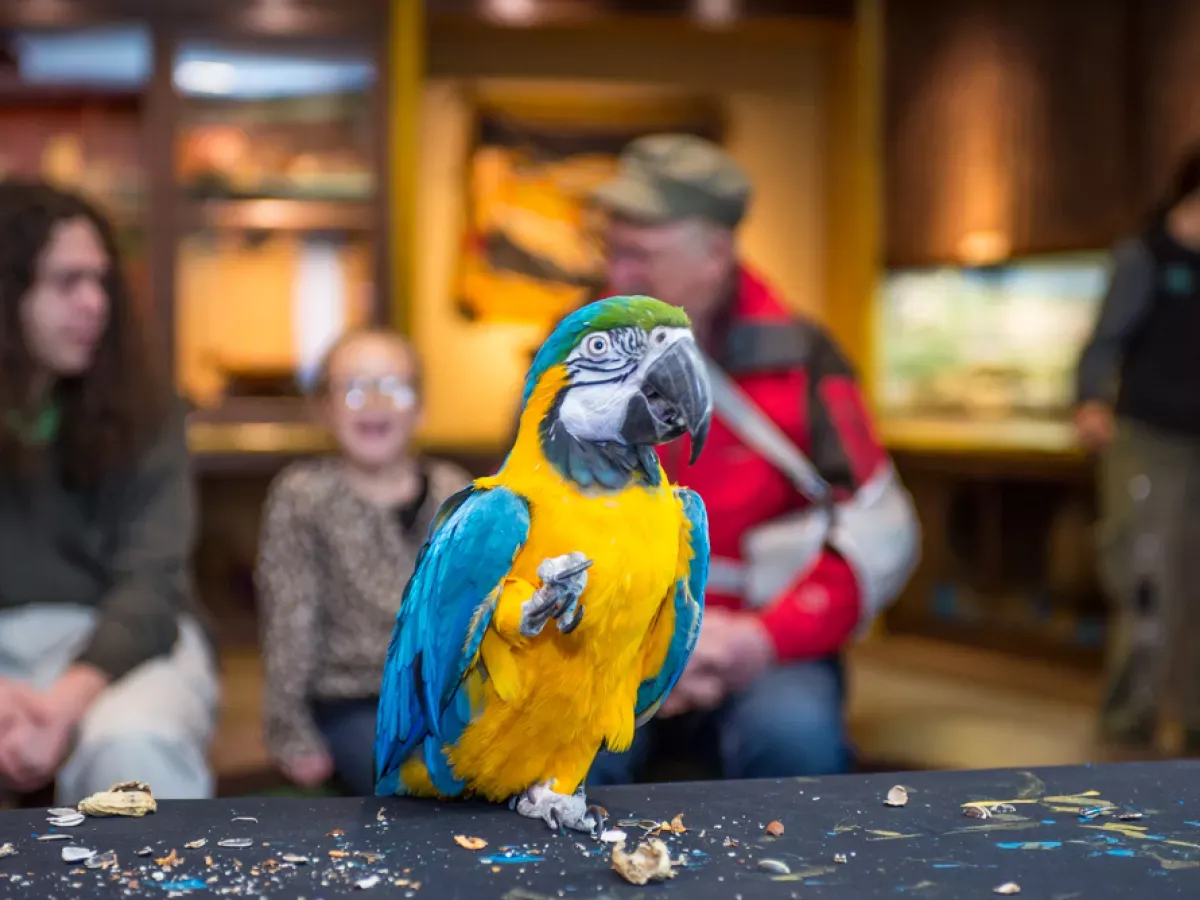Oregon Zoo — official source image