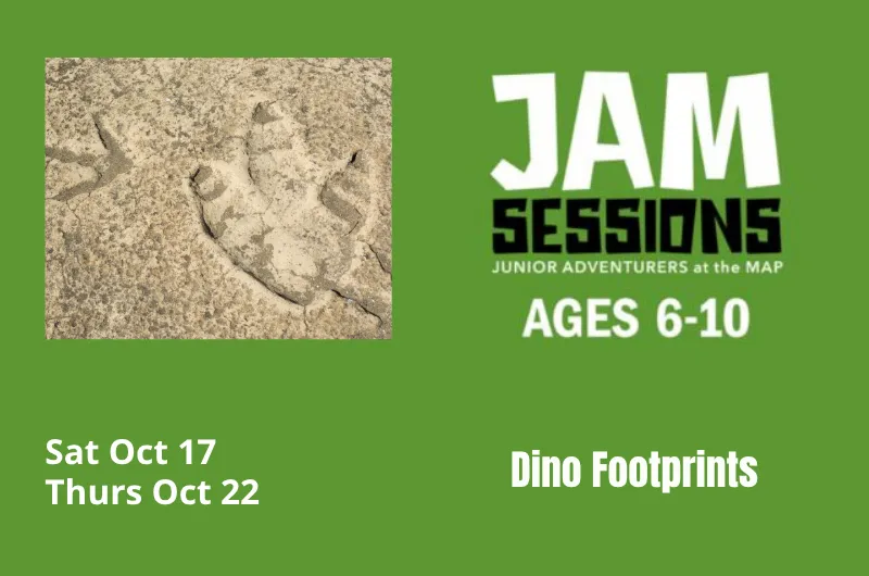 JAM Session: Dino Footprints — official source image