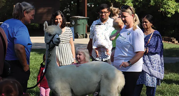 Alpacas in the Park at Veterans Park (Anderson Township) — official source image